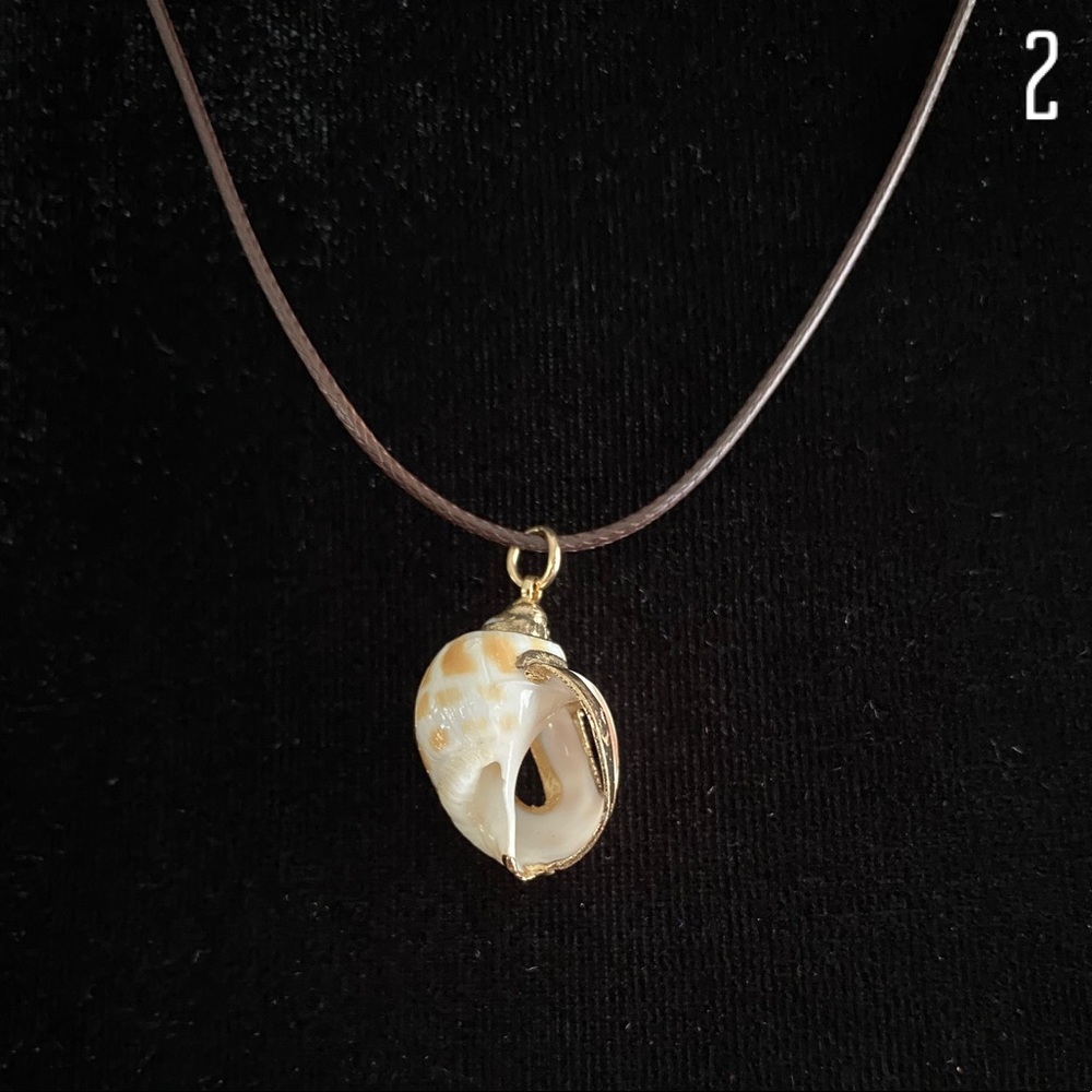 NEW Conch Shell Necklace - Picture 6 of 7